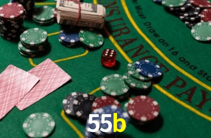 55b App Interface